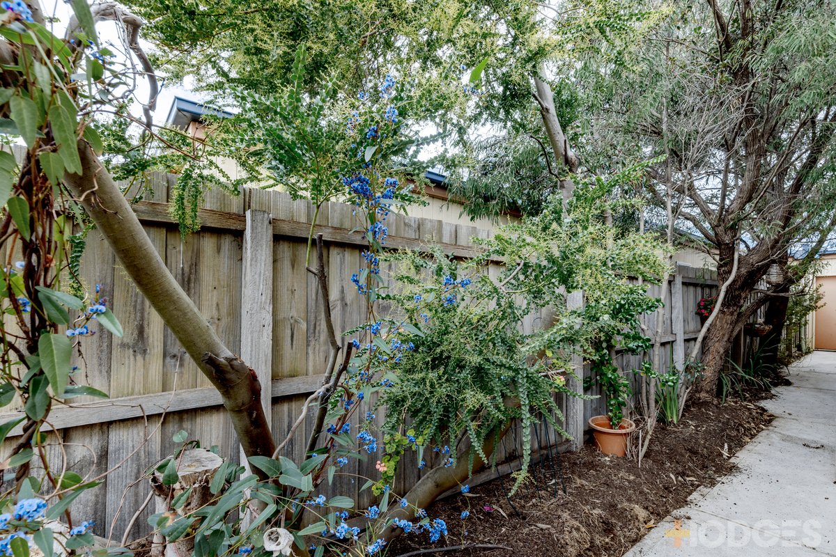1 / 43 Pembroke Road Ocean Grove - Residential for sale