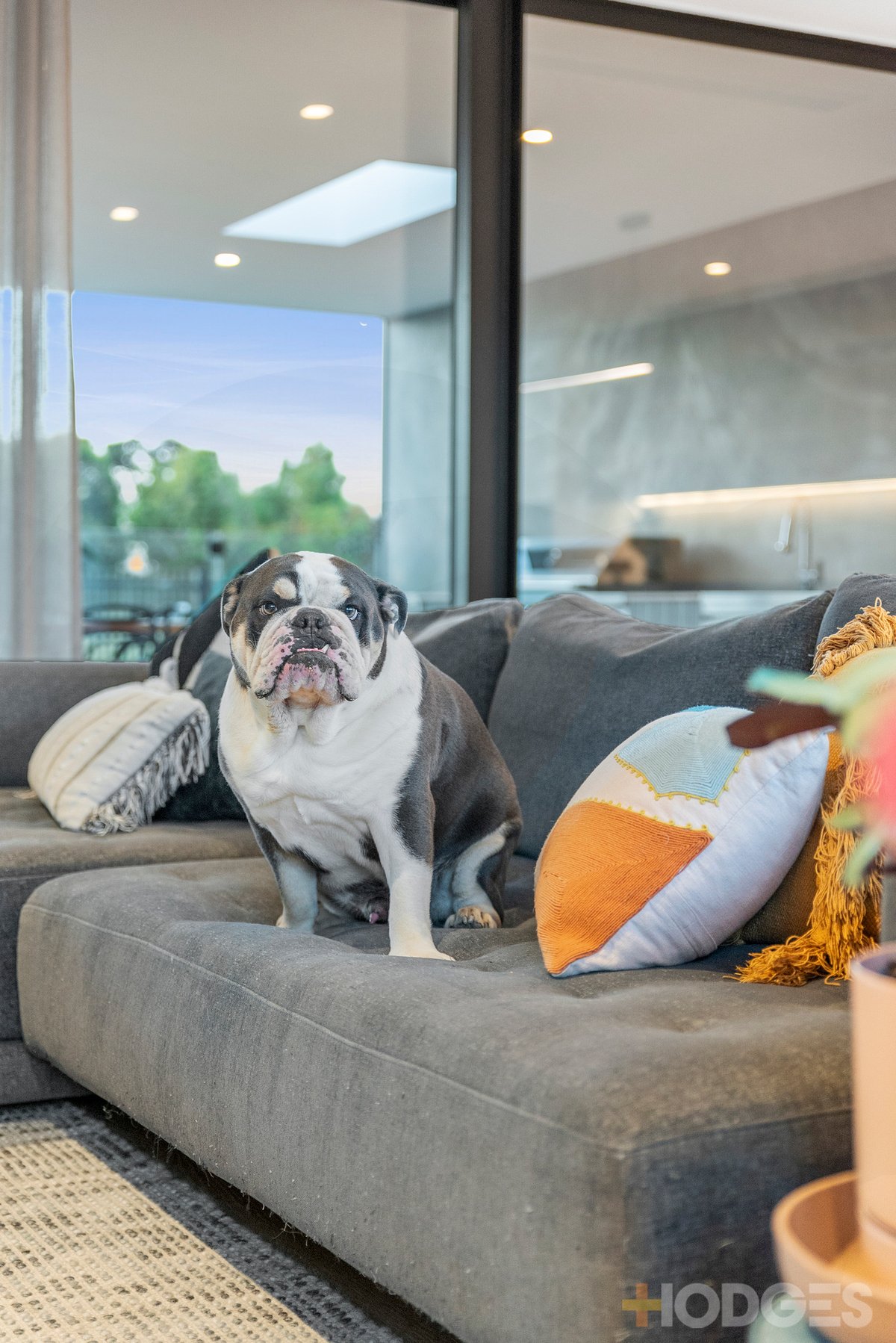 16 Stone Pine Court Connewarre - Residential for sale