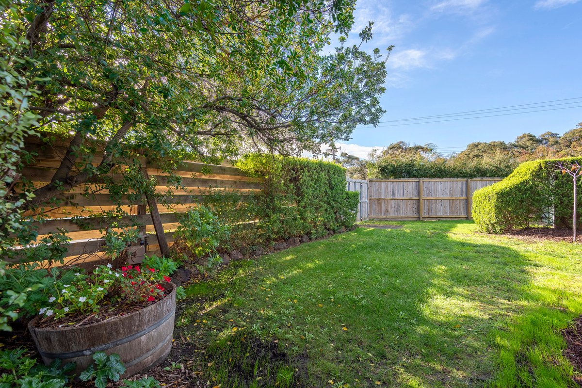 1 / 62 Powell St W  Ocean Grove - Residential for lease