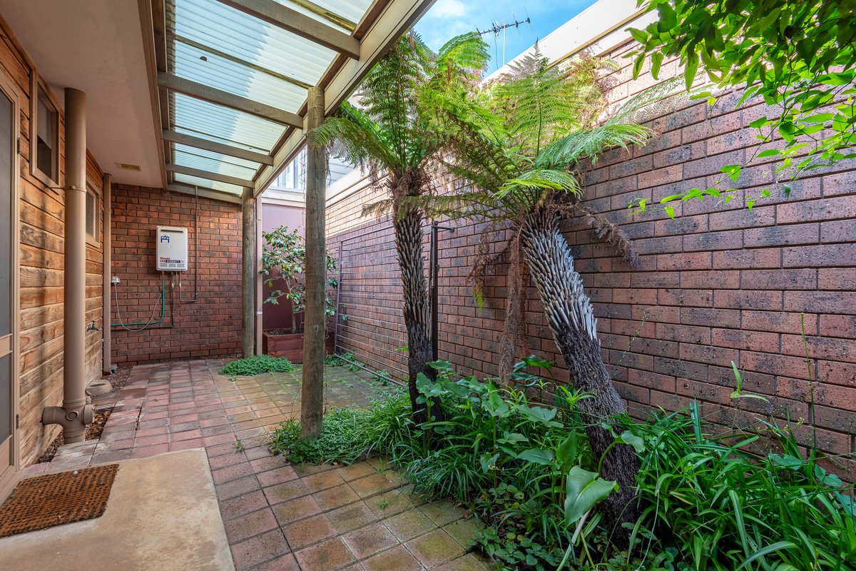 1 / 62 Powell St W  Ocean Grove - Residential for lease