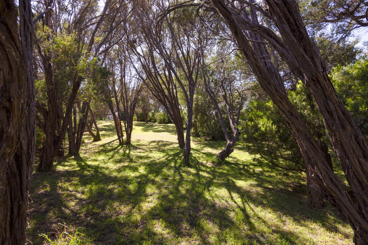 17 Fairway Drive RYE - Residential for sale