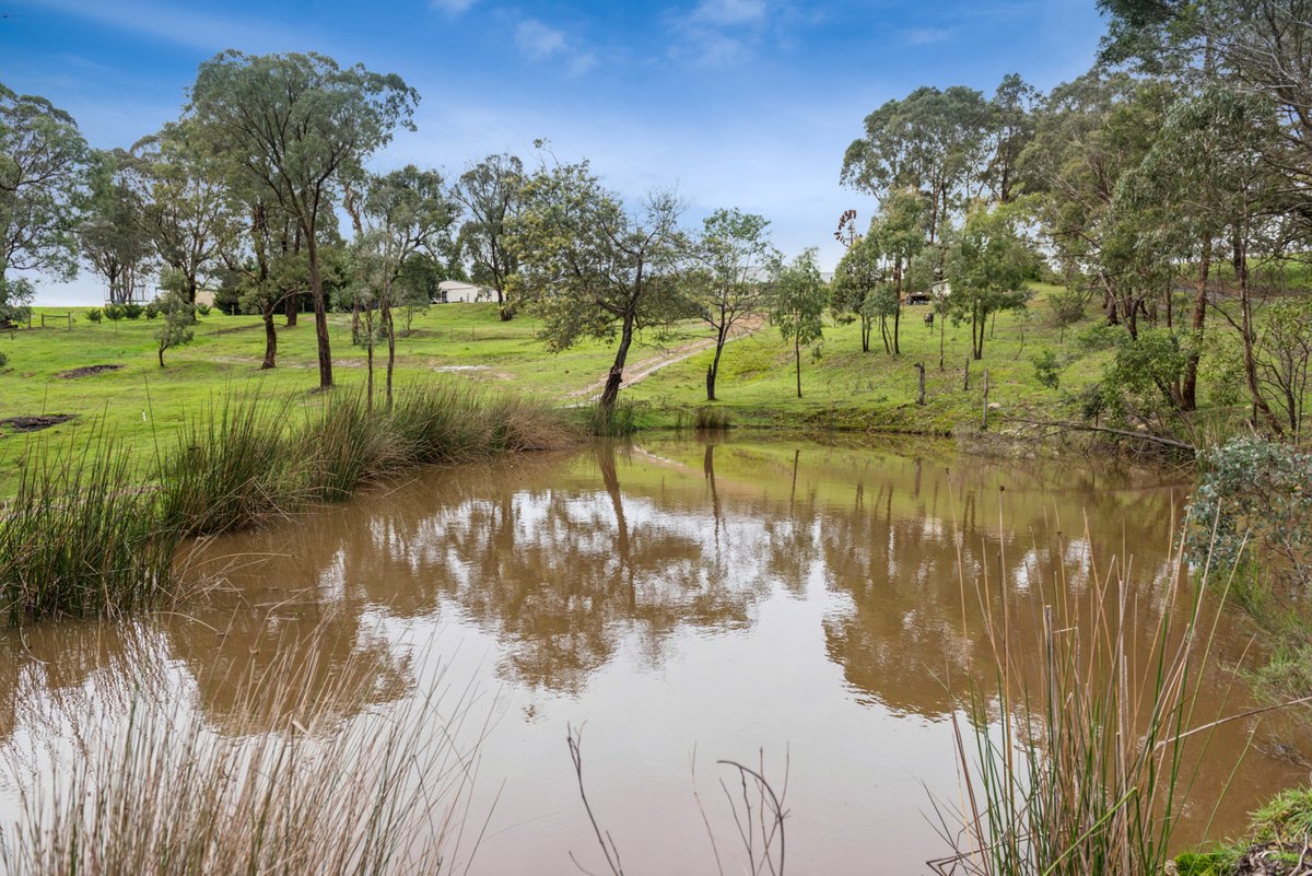 17 Mathiesons Road Wandong - Residential for sale
