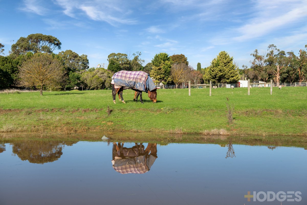 170 Diggings Road Willowmavin - Residential for sale