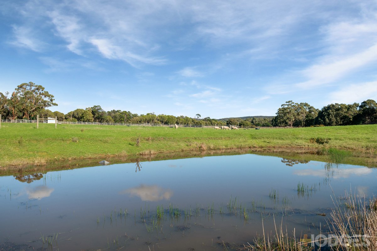 170 Diggings Road Willowmavin - Residential for sale