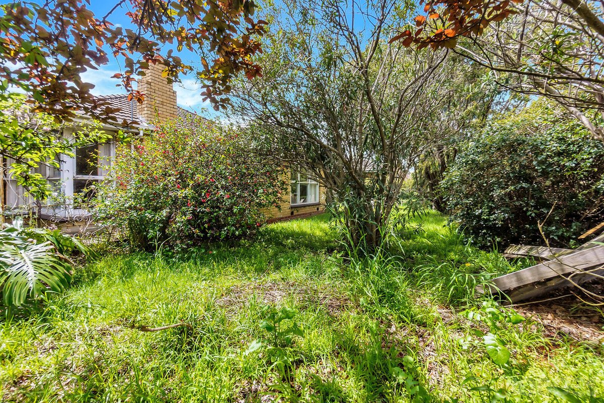 177 Lower Dandenong Road Mentone - Residential for sale