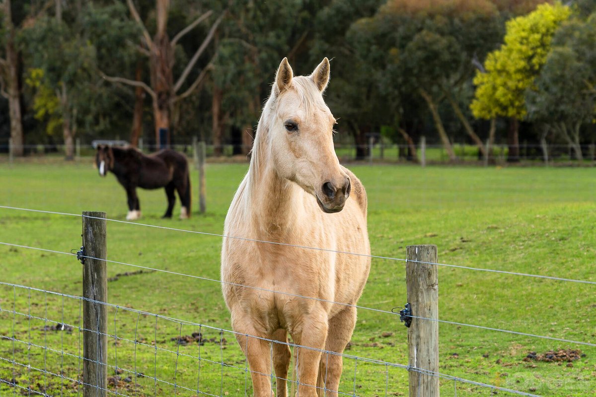 1787 Barrabool Road Gnarwarre - Residential for sale