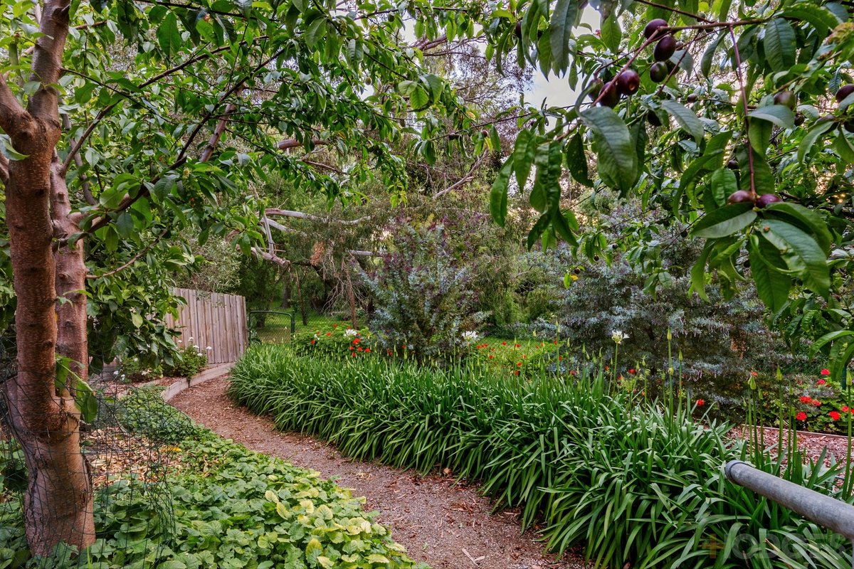 18 Dederang Avenue Clifton Springs - Residential for sale