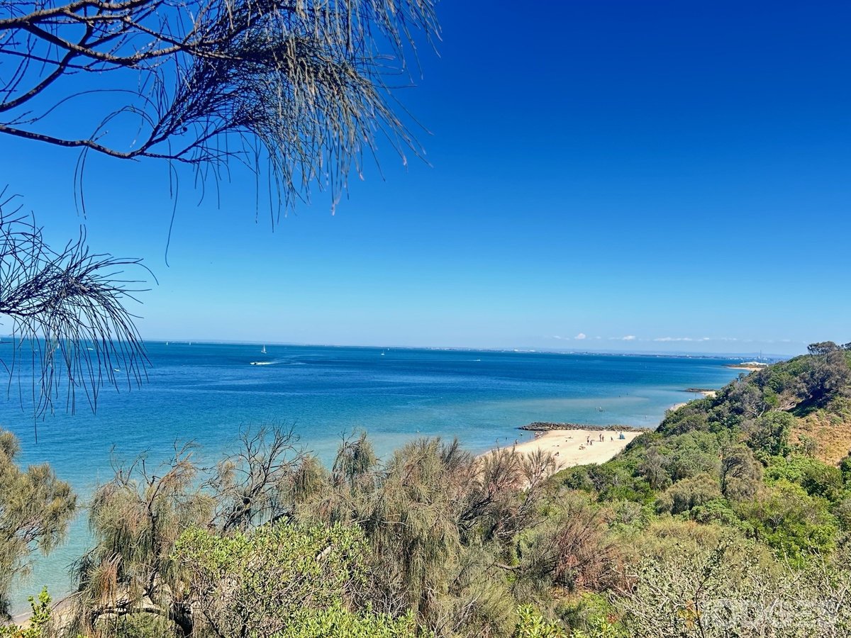 20 / 22 Abbott Street Sandringham - Residential for sale