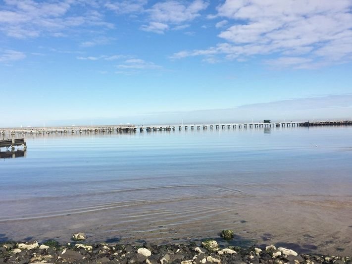 204 Esplanade BRIGHTON - Residential for sale
