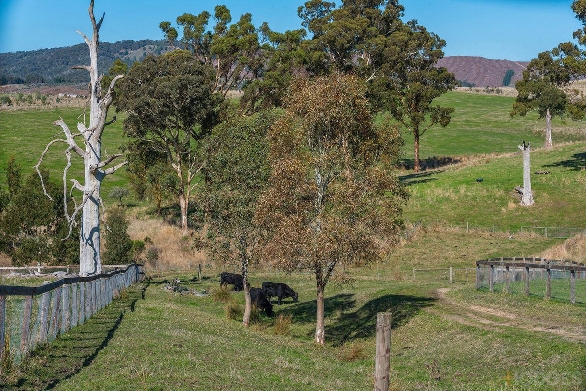 216 Clonbinane Road Wandong - Residential for sale