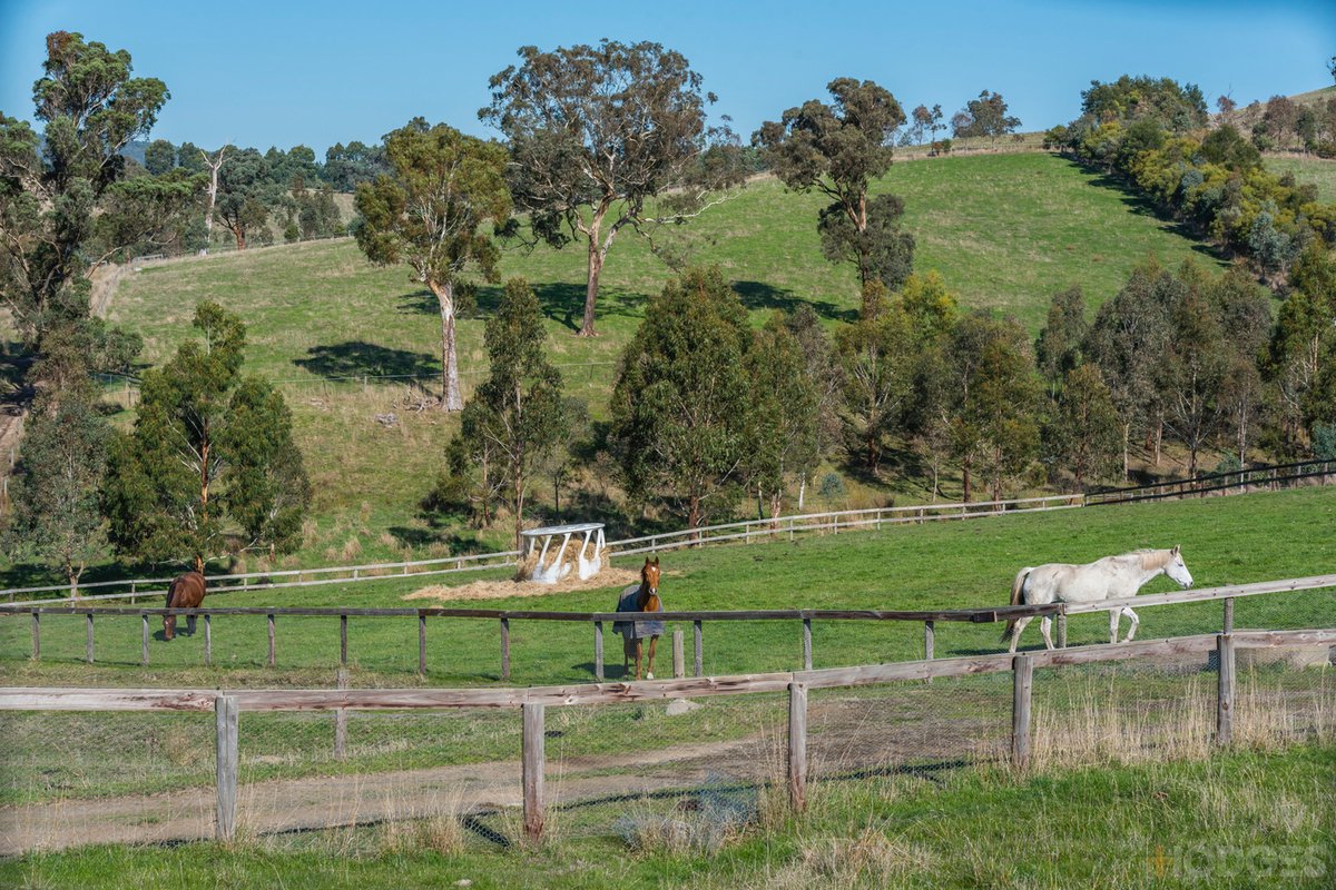 216 Clonbinane Road Wandong - Residential for sale