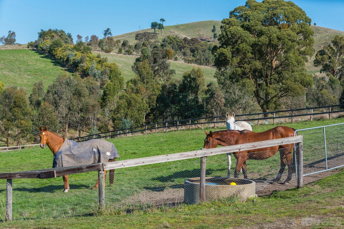 216 Clonbinane Road Wandong - Residential for sale