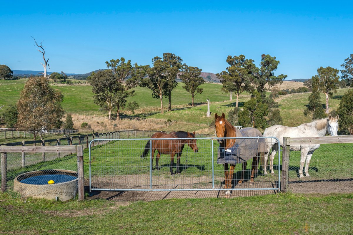 216 Clonbinane Road Wandong - Residential for sale