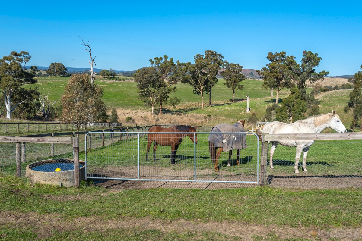 216 Clonbinane Road Wandong - Residential for sale