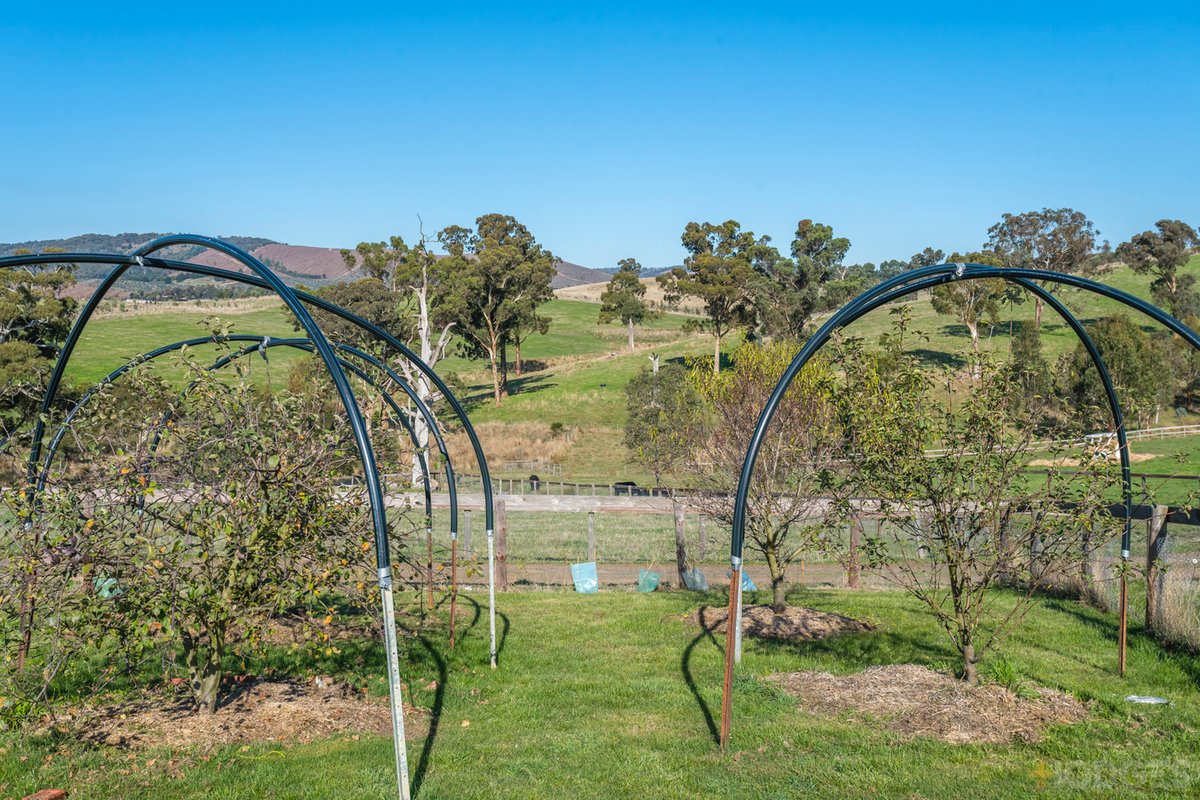 216 Clonbinane Road Wandong - Residential for sale