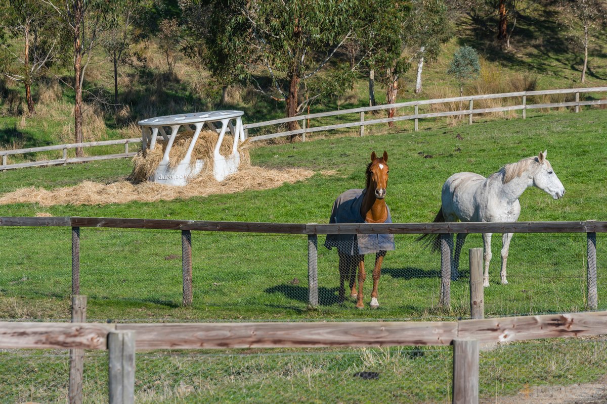 216 Clonbinane Road Wandong - Residential for sale