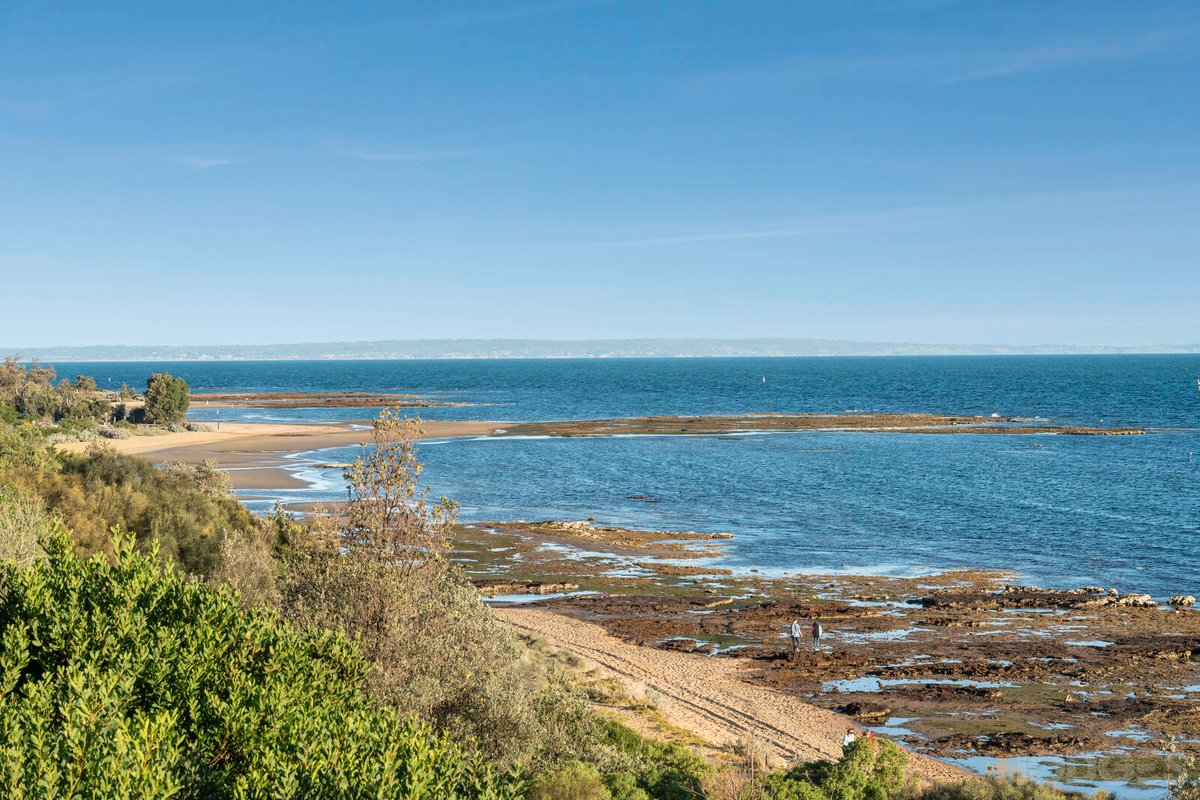 22 Wellington Avenue Beaumaris - Residential for sale
