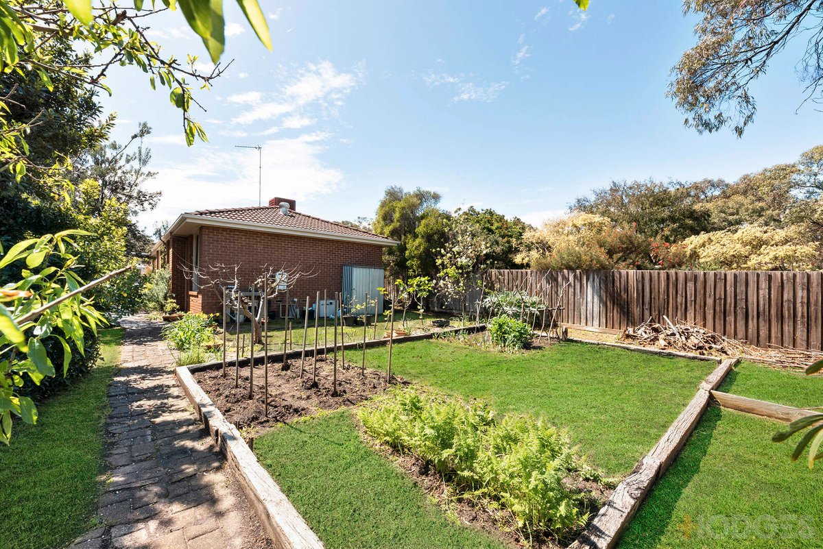 224 Thacker Street Ocean Grove - Residential for sale