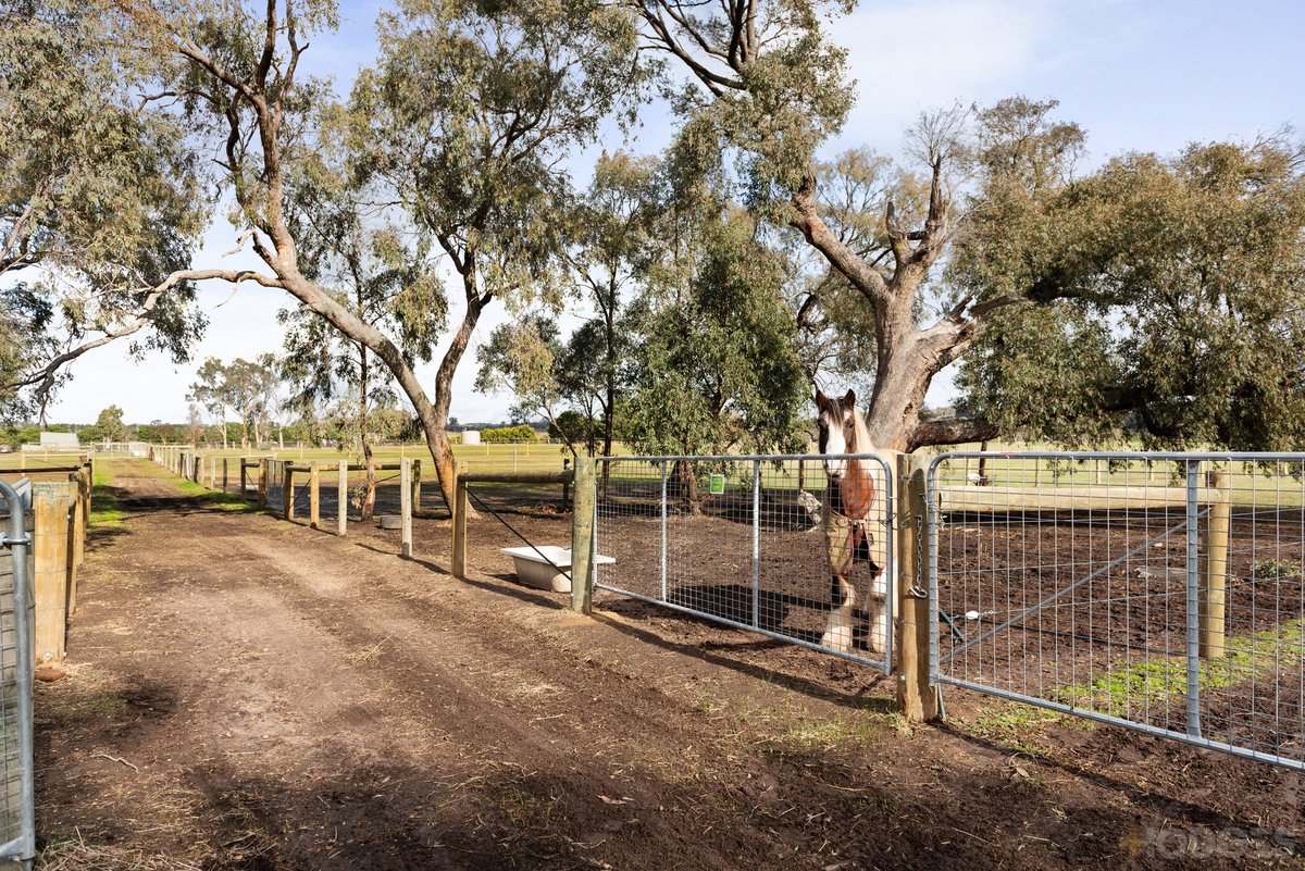 25 Diggings Road Willowmavin - Residential for sale