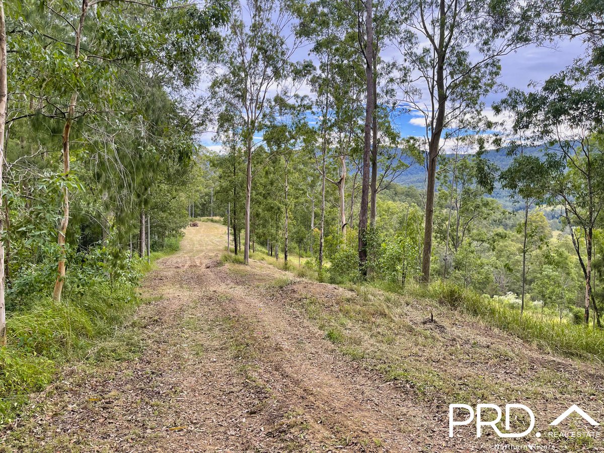 2605 Afterlee Road, Toonumbar via, KYOGLE NSW 2474