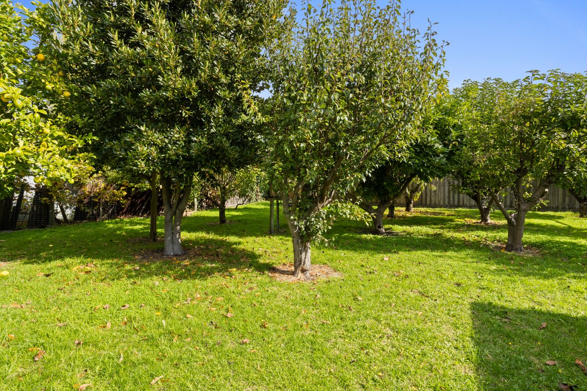 3 Carlton Court RYE - Residential for sale