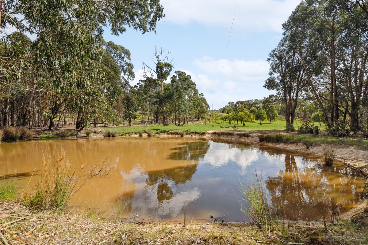 312 Old Kilmore-Lancefield Road Willowmavin - Residential for sale
