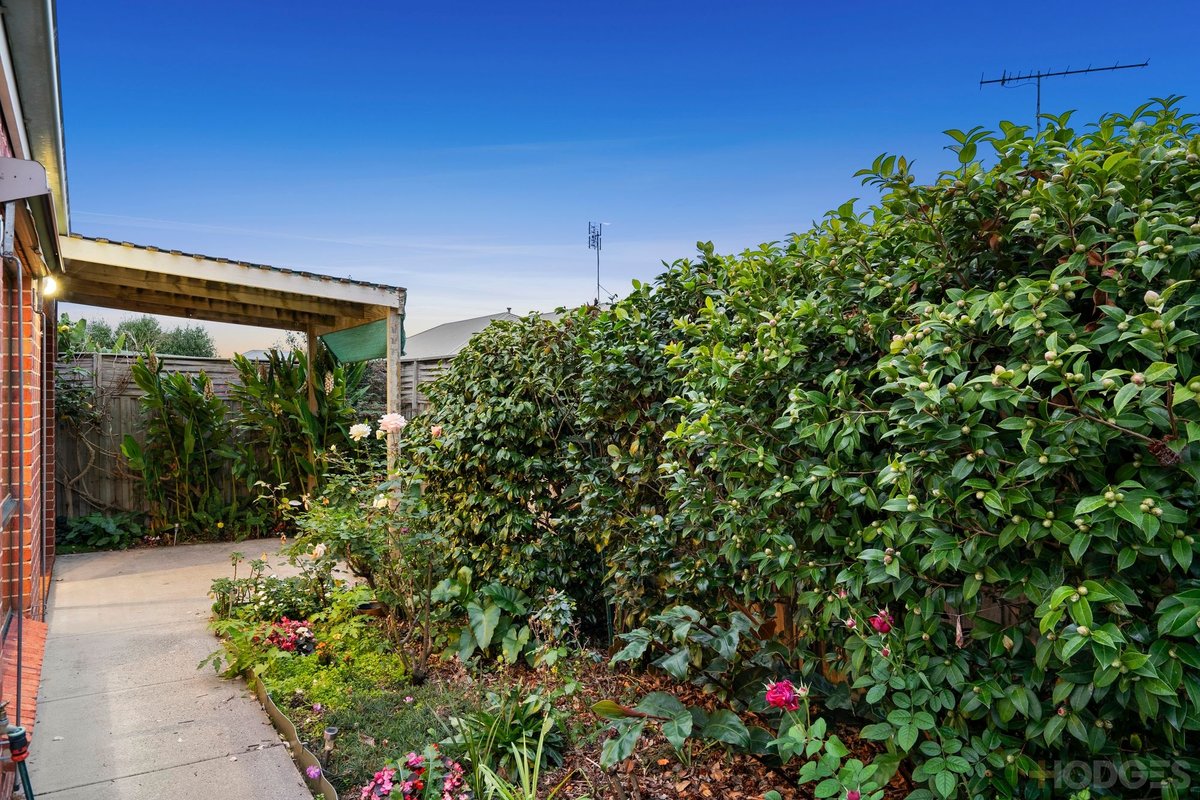 3 / 23-27 Clifton Springs Road Drysdale - Residential for sale