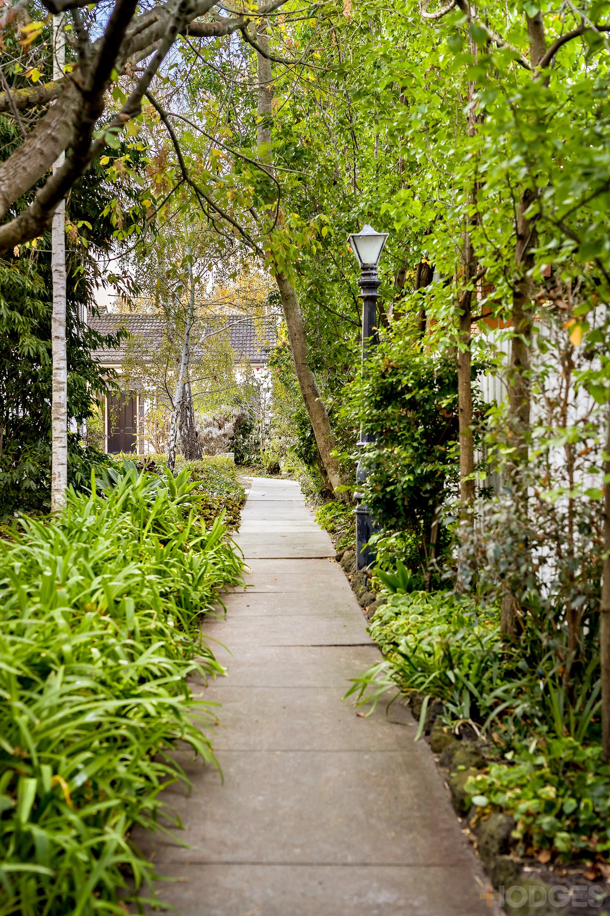 3 / 29 Pine Street Brighton East - Residential for sale