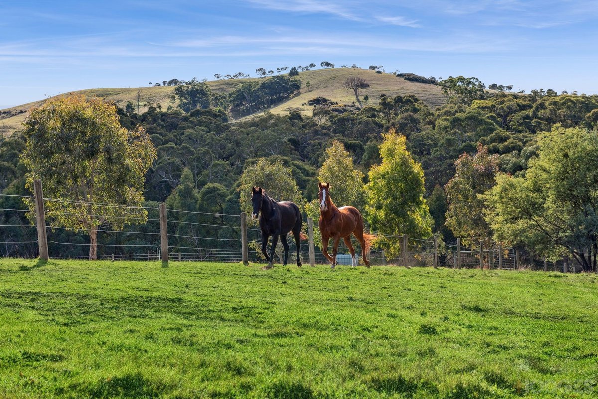 33 Mathiesons Road Wandong - Residential for sale