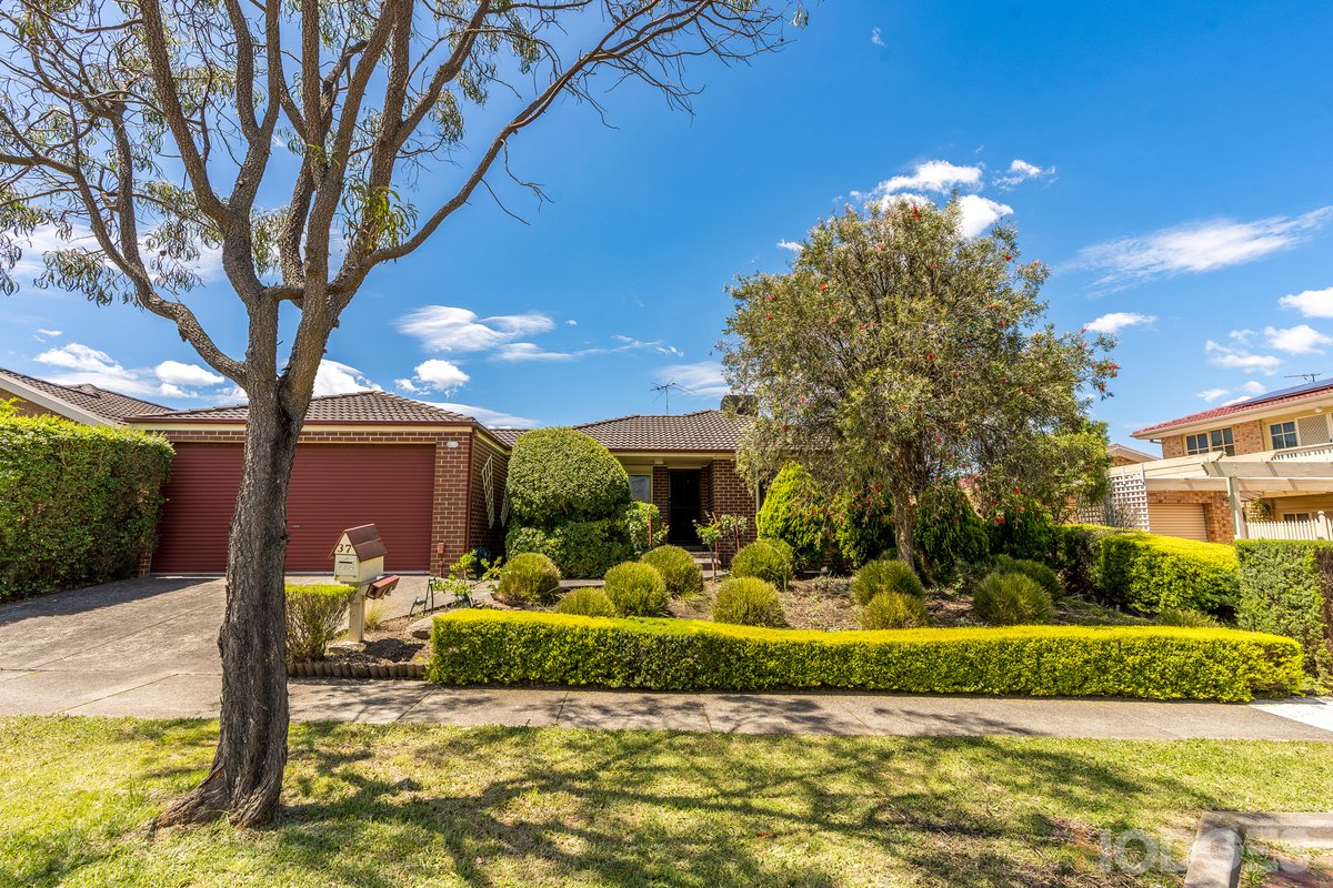 37 Applewood Drive Knoxfield - Residential for sale