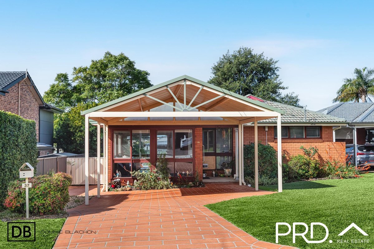 37 Douglas Street, PANANIA NSW 2213