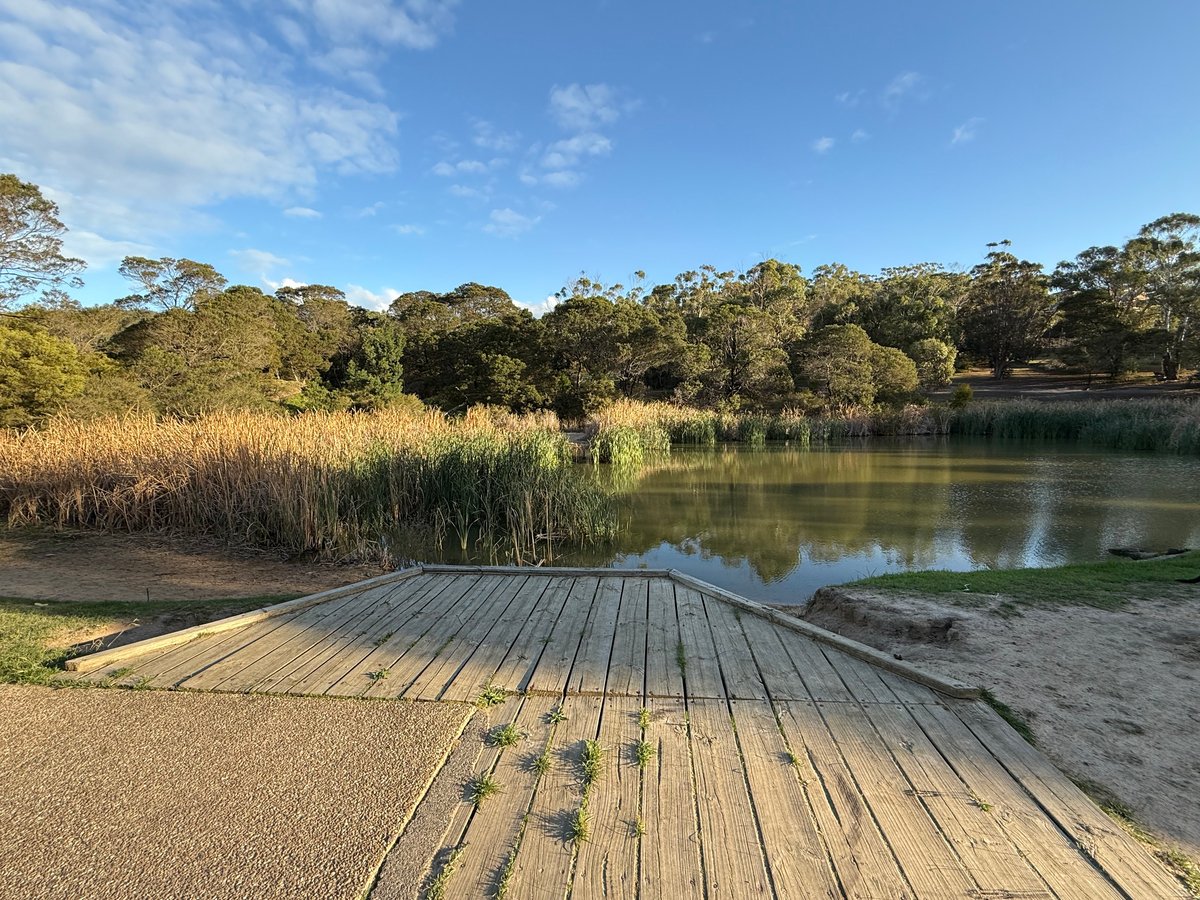 38 Olympic Parade DROMANA - Residential for sale
