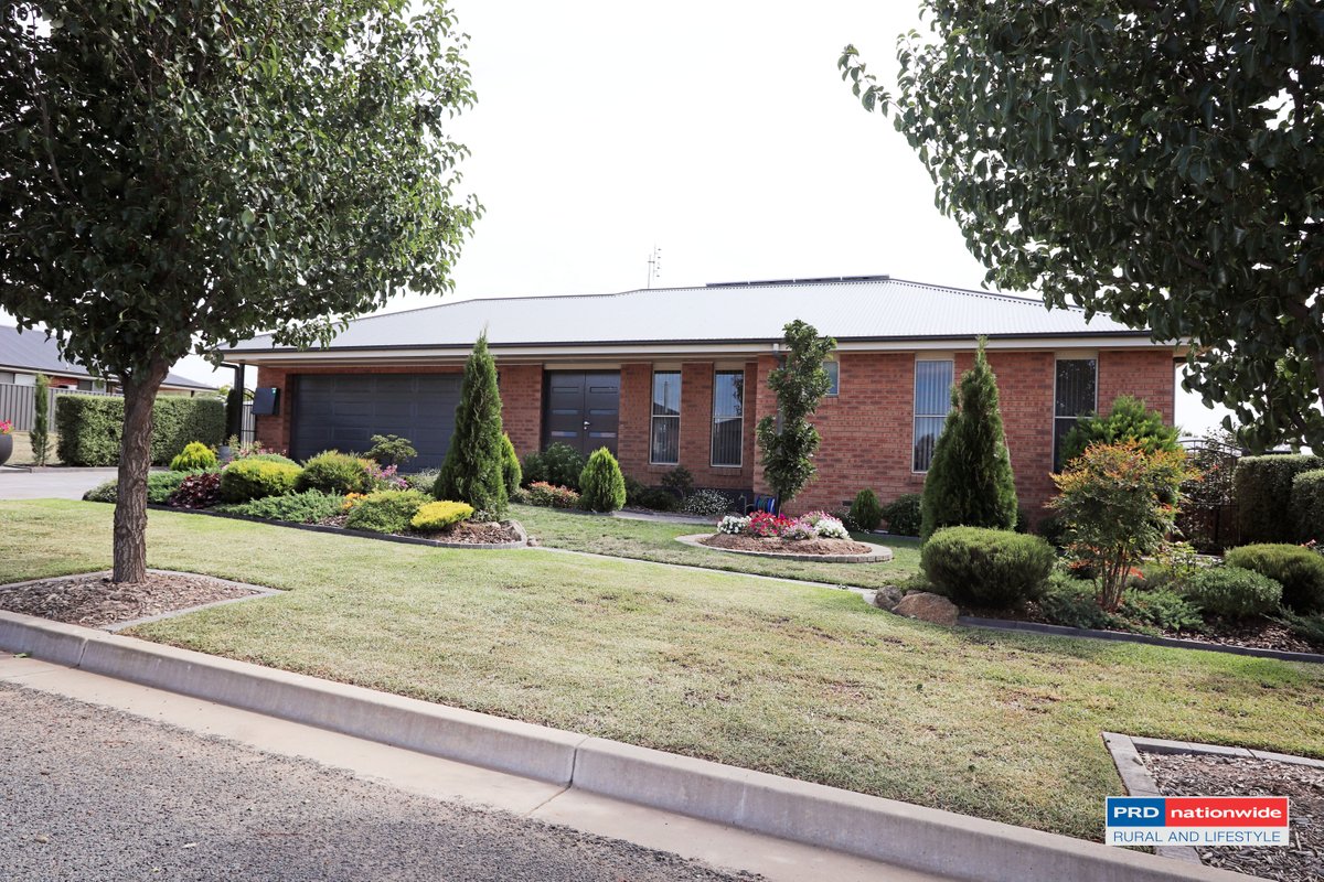 4 McEwan Court, TUMBARUMBA NSW 2653