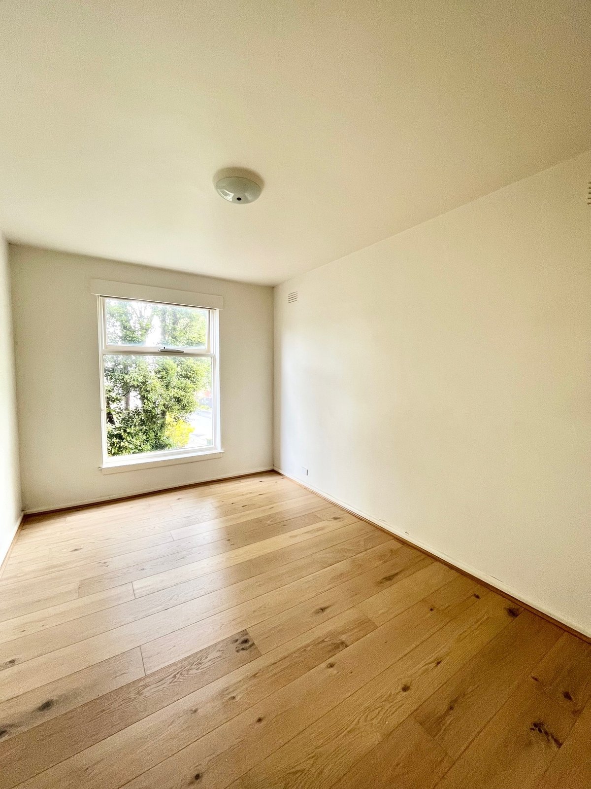 4 / 142 Alexandra Street ST KILDA EAST - Residential for lease
