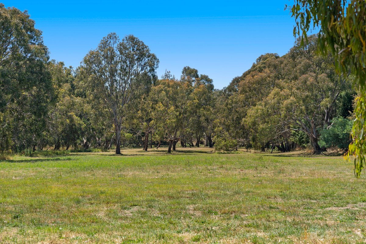 440 Winchelsea Deans Marsh Road Winchelsea - Residential for sale