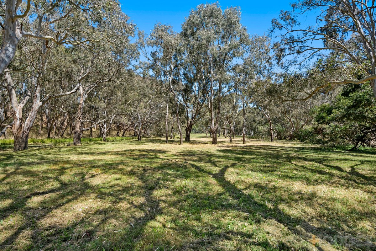 440 Winchelsea Deans Marsh Road Winchelsea - Residential for sale