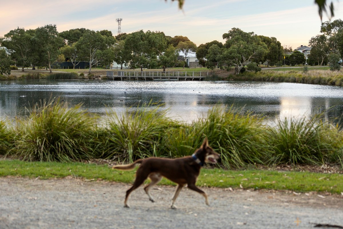 6 Ambleside Place Ocean Grove - Residential for sale