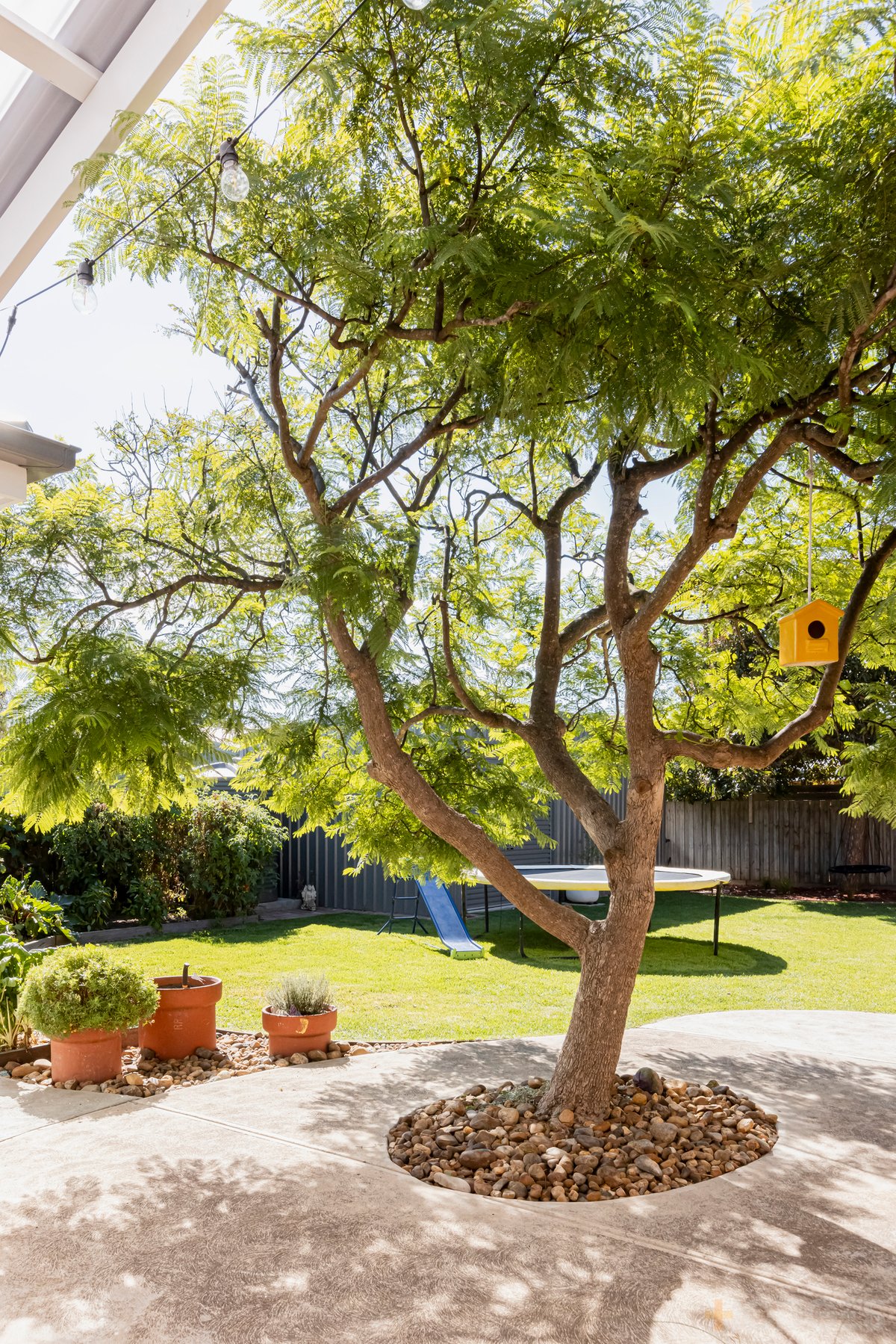 6 Stringybark Place Ocean Grove - Residential for sale