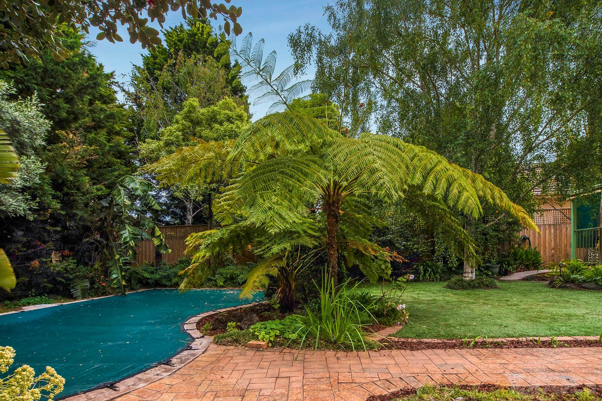 6 Victoria Street Sandringham - Residential for sale