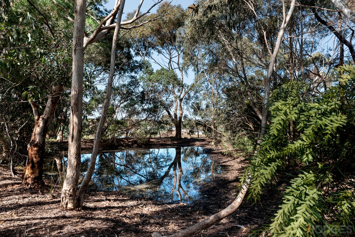 65-67 Belle Vue Drive Ocean Grove - Residential for sale