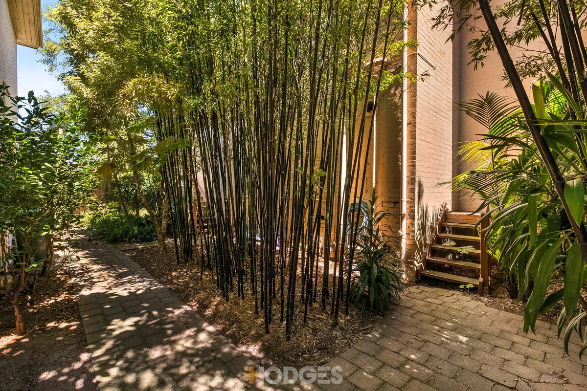 6 / 66 Murray Street Caulfield - Residential for sale