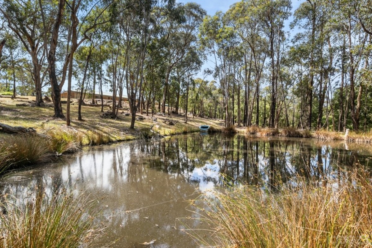 700 Spur Road Clonbinane - Residential for sale