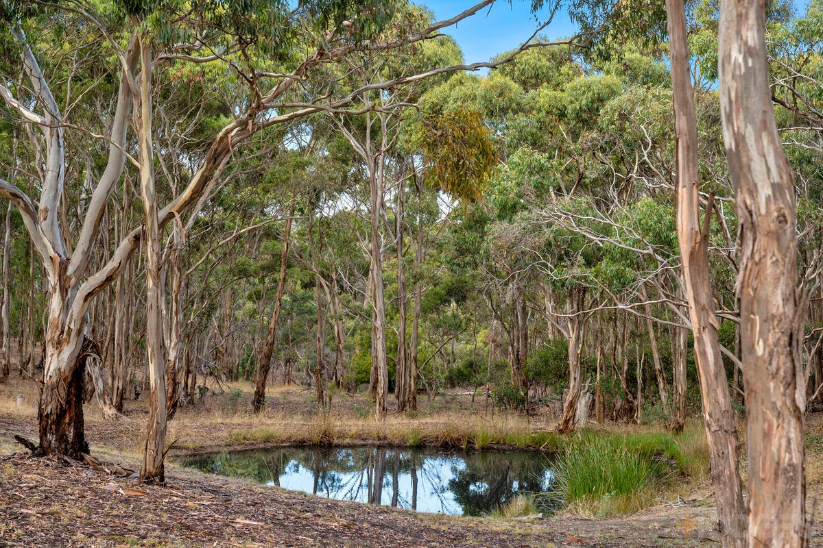 741 Beremboke Road Beremboke - Residential for sale