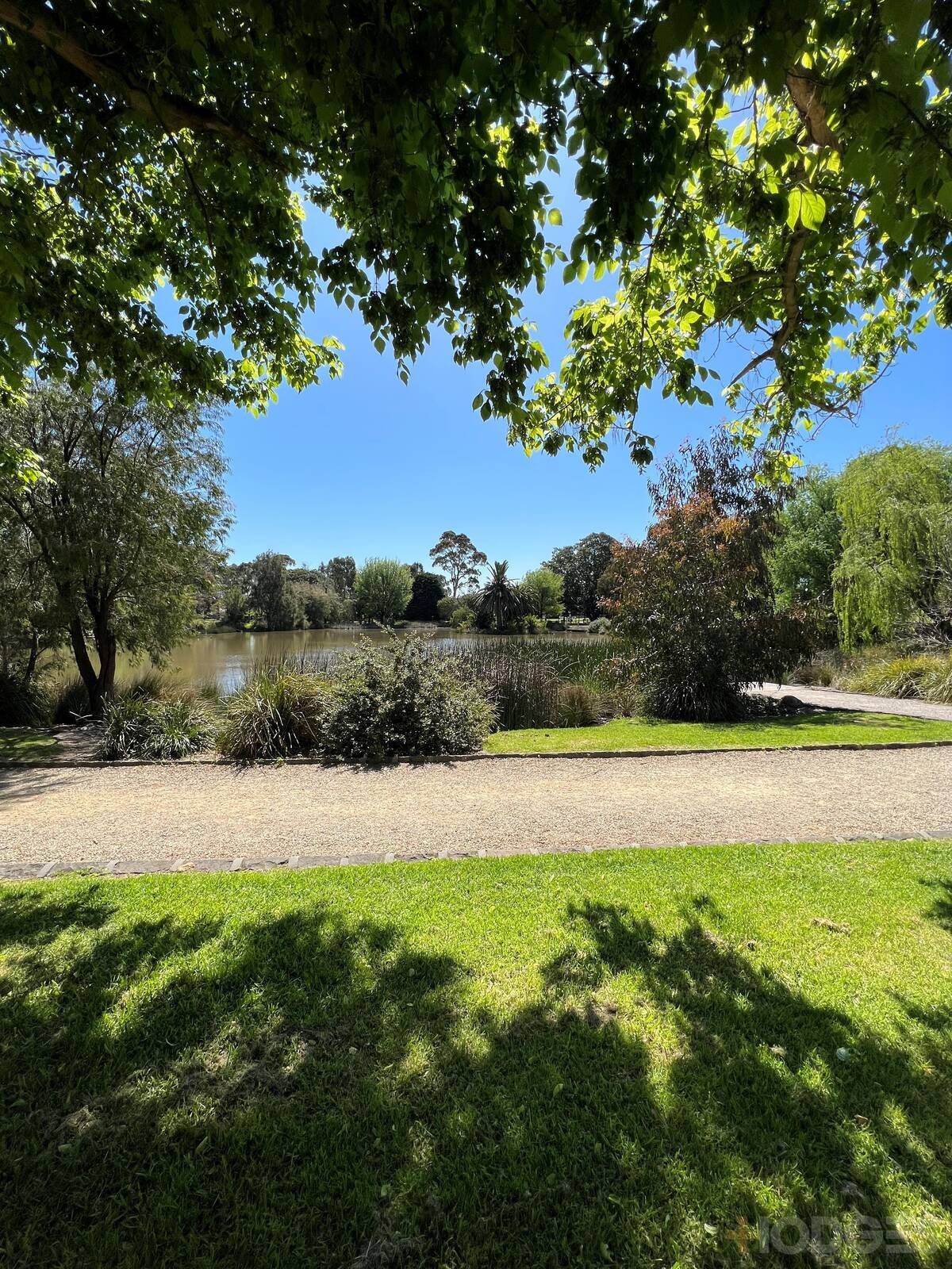 8A Sunnyside Avenue Brighton East - Residential for sale