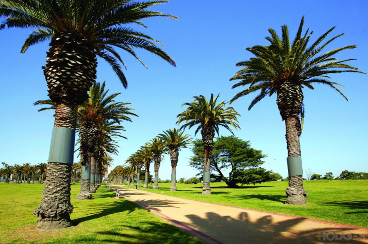 9 / 7 Alfred Square St Kilda - Residential for sale