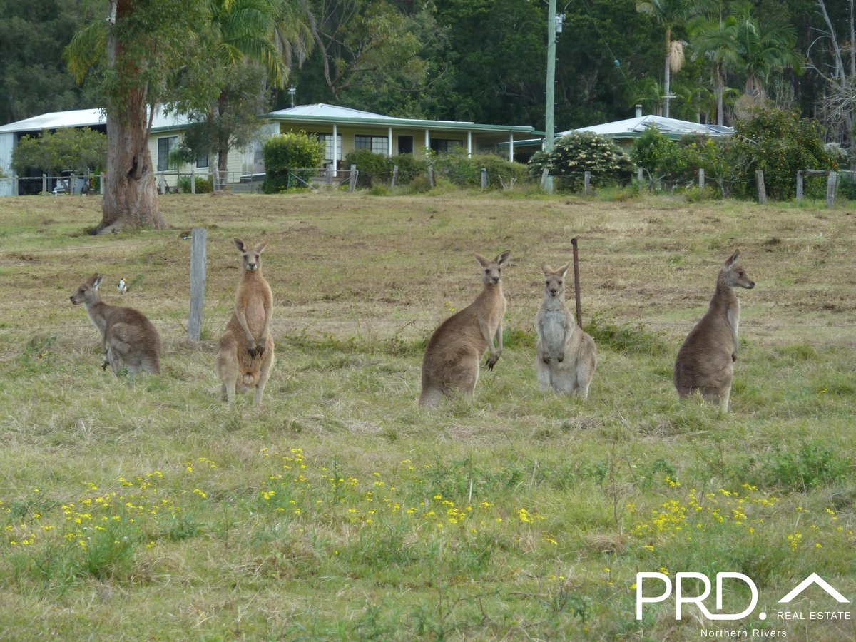 97 Woods Road, DOBIES BIGHT NSW 2470