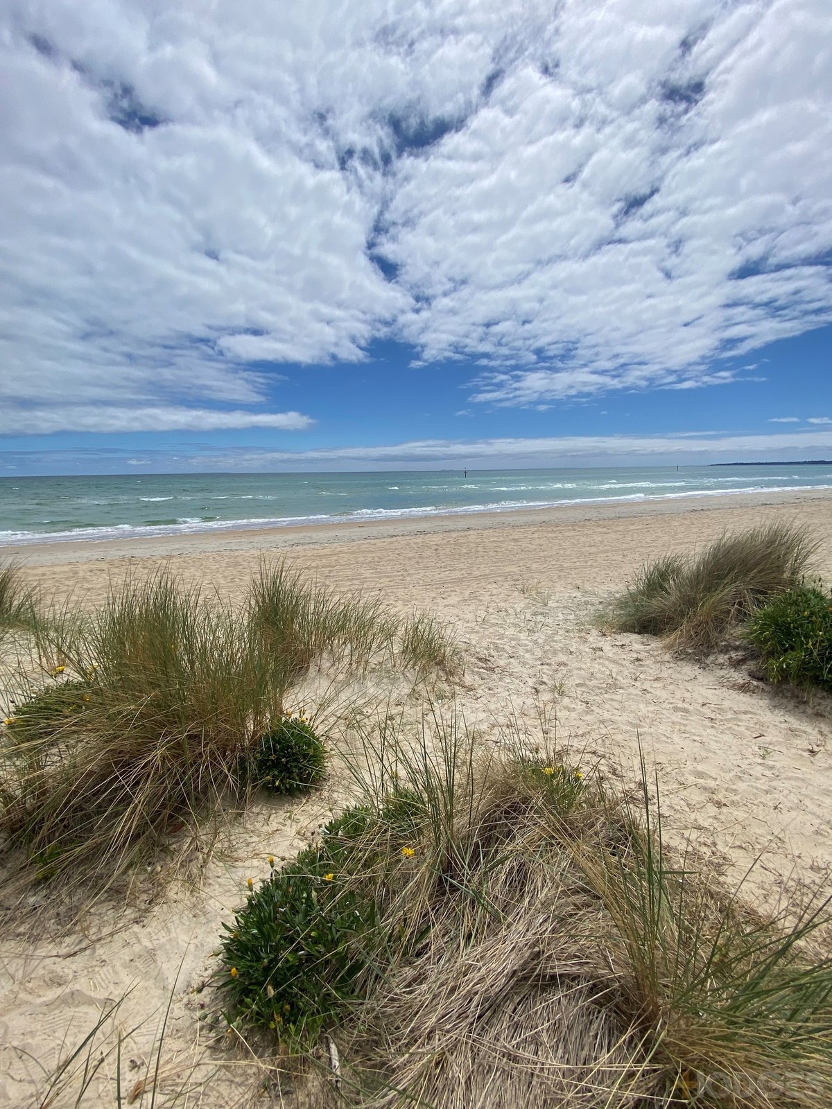 Boatshed / 804 Bank Road Edithvale - Residential for sale