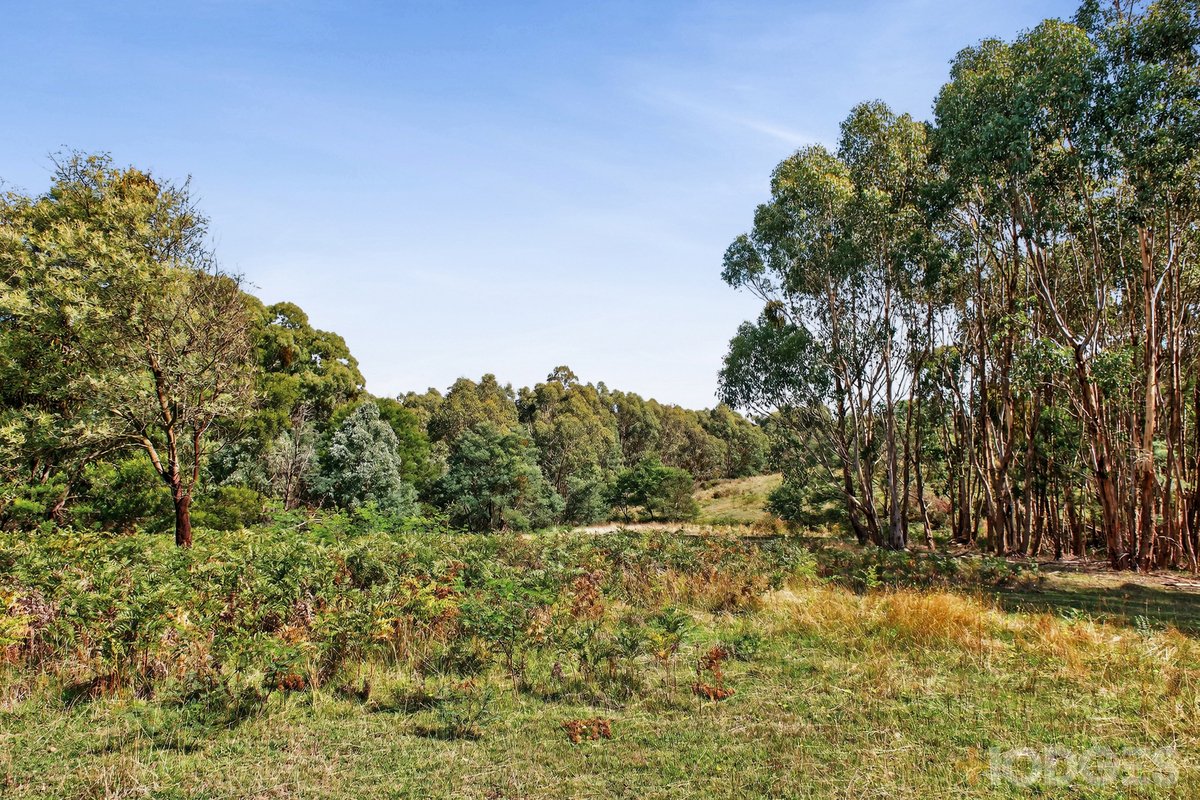 200 Broadford-Wandong Road Wandong - Residential for sale