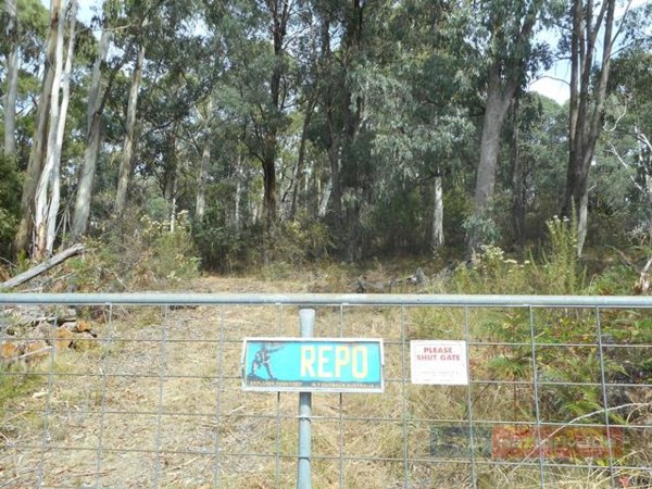 Lot 3 Alta Villa Road, BATLOW NSW 2730