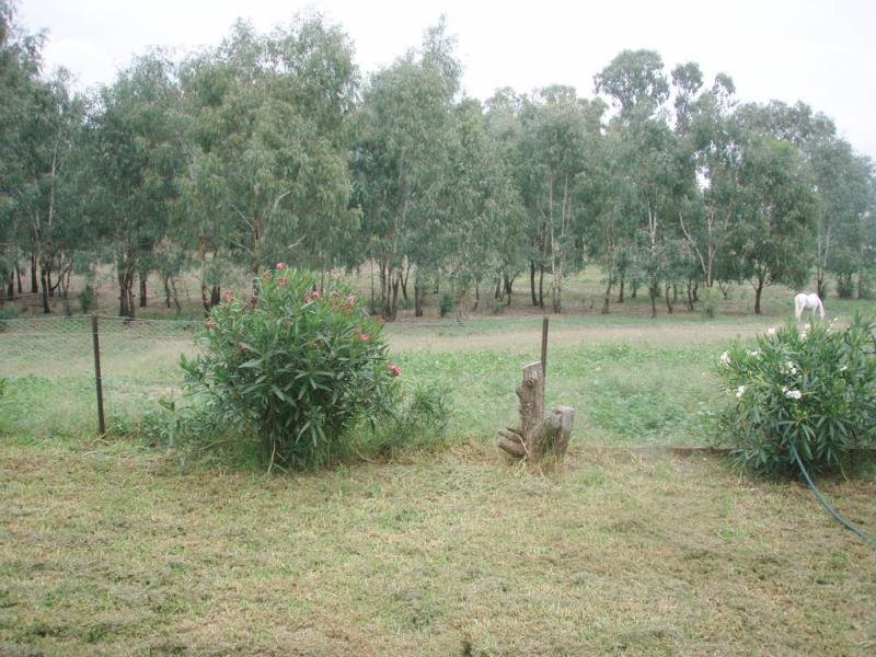 - Kia Ora Down, Old Narandera Rd  EUBERTA 3